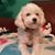 Christine Benson's profile image