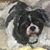 Geri George Selfridge's profile image