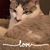 Penny Jackson's profile image