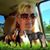 Suzanne Radley's profile image