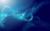 Jane D.'s profile image