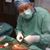 Mark David Steele's profile image