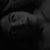 Brandon Gonzalez's profile image