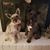 Kelly Dusenberry's profile image