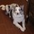 Kevin Brown's profile image