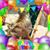 Kate Keathley's profile image