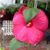 Arlene Hendricks's profile image