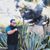 Daniel Rodriguez's profile image