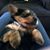 Margie Taylor-Hickey's profile image