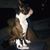Maria Lopez's profile image