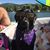 Molly Elizabeth Burda's profile image