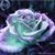 Mavonia Floyd's profile image