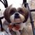 Brenda Mireles's profile image