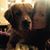Danielle Bodendorfer's profile image