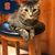 Thomas J. Landry's profile image