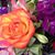 Elaine Jurgenson Krajanowski's profile image