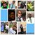 Chris Jones Sr.'s profile image