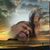 Antawn Deshawn Hunter's profile image