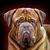 DL Crutcher's profile image