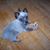 Lenore Plassman's profile image