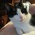 Cristine Bergeson's profile image