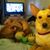 Bethany Seebach's profile image