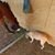 Barbee Lee Garmon's profile image