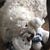 Day Johnston Oberg's profile image