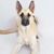 Linda Harrison's profile image