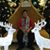Bernard Zhang's profile image