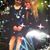 Diane Lutes's profile image