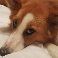 Raylene Magill's profile image
