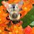 Jessica Marcin's profile image