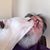Rob Stirling's profile image