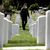 Travis Potter's profile image