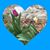 Diane Ledet's profile image