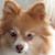 Debbie Allen's profile image