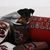 Barbara Smith Bryant's profile image