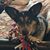 Sally Drury's profile image