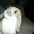 Karen Marshall's profile image