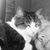 Mylinda Noble Shrewsbury's profile image
