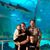 Marni Moorhead Schelb's profile image