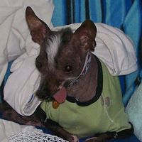 Marla Baker's profile image