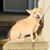 Geraldine Glickman Sherman's profile image