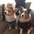 Lori Price Ickes's profile image