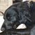 Katie Selhorst Eyink's profile image