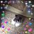 Sandi Finley's profile image