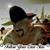 Stephen G Randolph's profile image