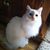 Denilee Curry's profile image