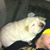 Nick Zanko's profile image
